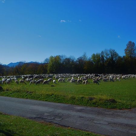 I Borghi Della Schiara - Borgo Talvena Belluno Bagian luar foto