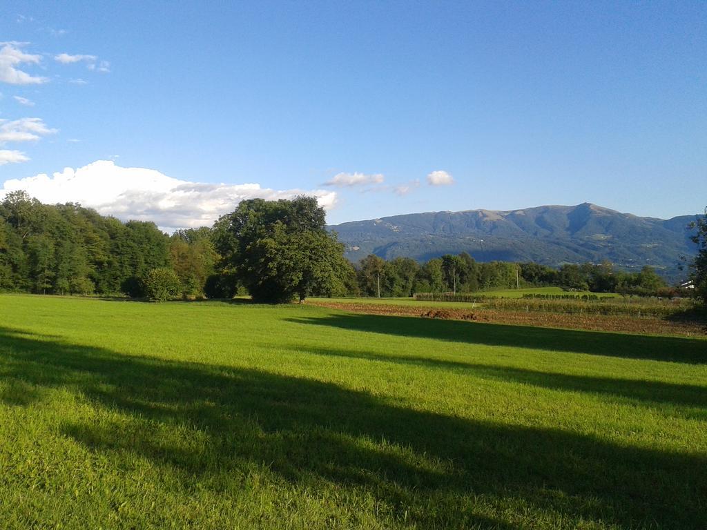 I Borghi Della Schiara - Borgo Talvena Belluno Bagian luar foto