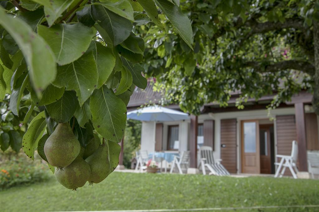 I Borghi Della Schiara - Borgo Talvena Belluno Bagian luar foto