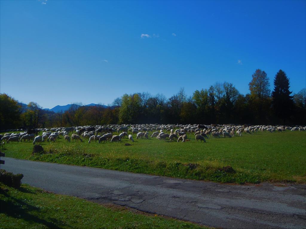 I Borghi Della Schiara - Borgo Talvena Belluno Bagian luar foto