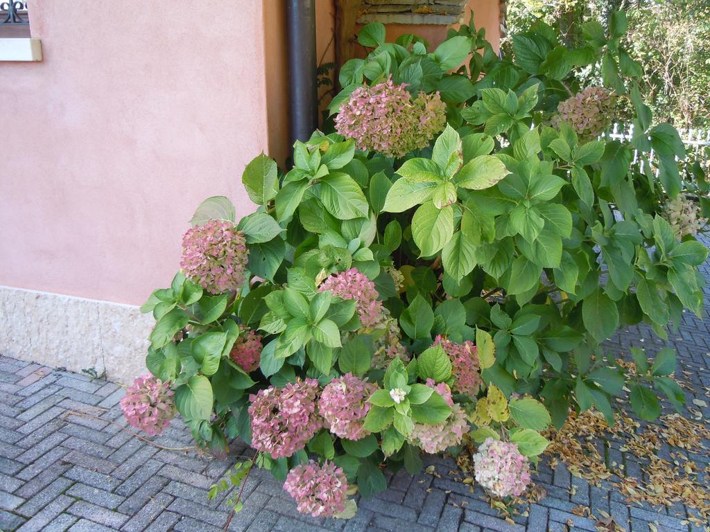 I Borghi Della Schiara - Borgo Talvena Belluno Bagian luar foto